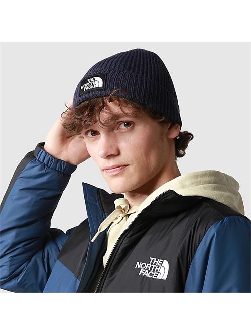 tnf logo box cuffed beanie THE NORTH FACE | NF0A3FJX8K21